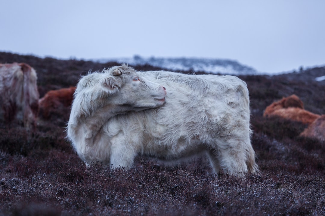 Jeuk over het hele lichaam zonder uitslag: mogelijke oorzaken en wat je kunt doen