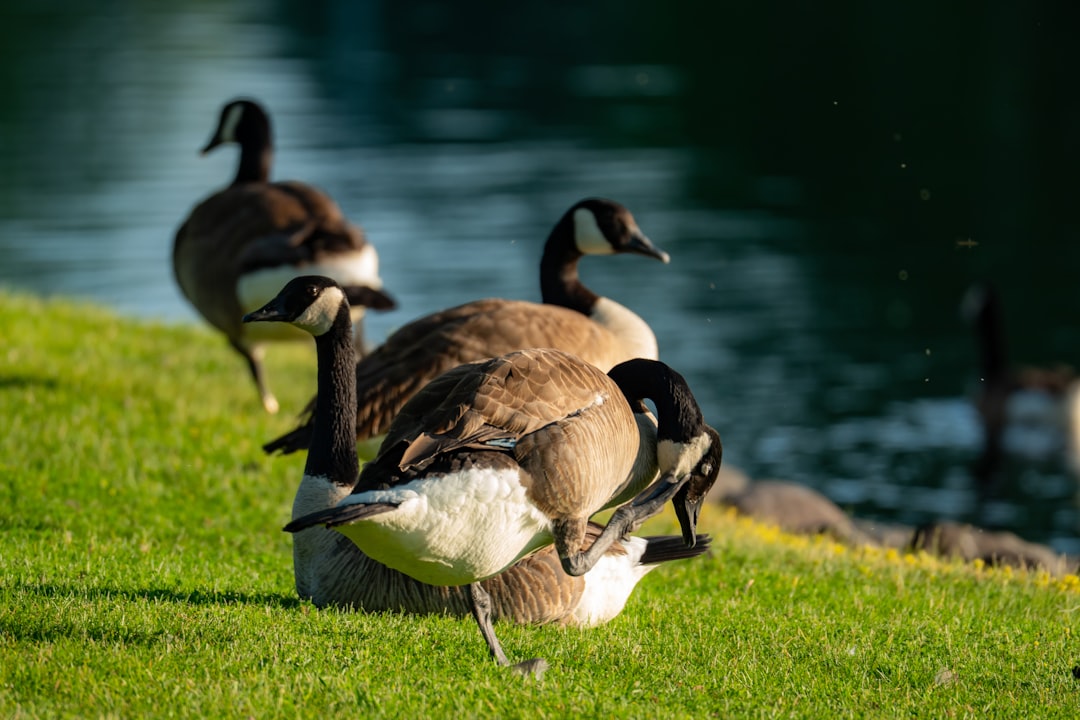 Jeuk op het scheenbeen: oorzaken, klachten en oplossingen