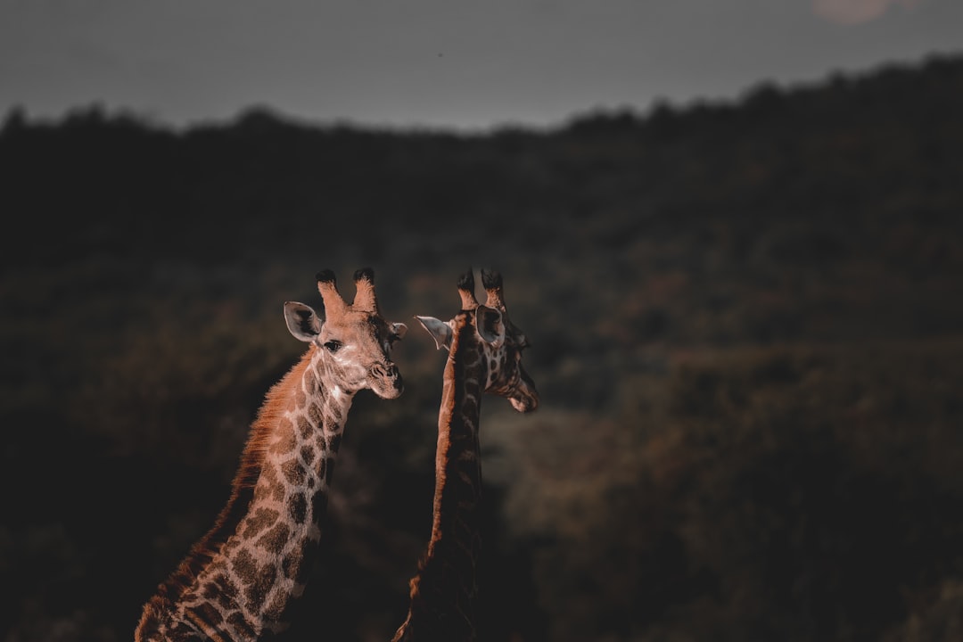 Zo kom je weer van een stijve nek af