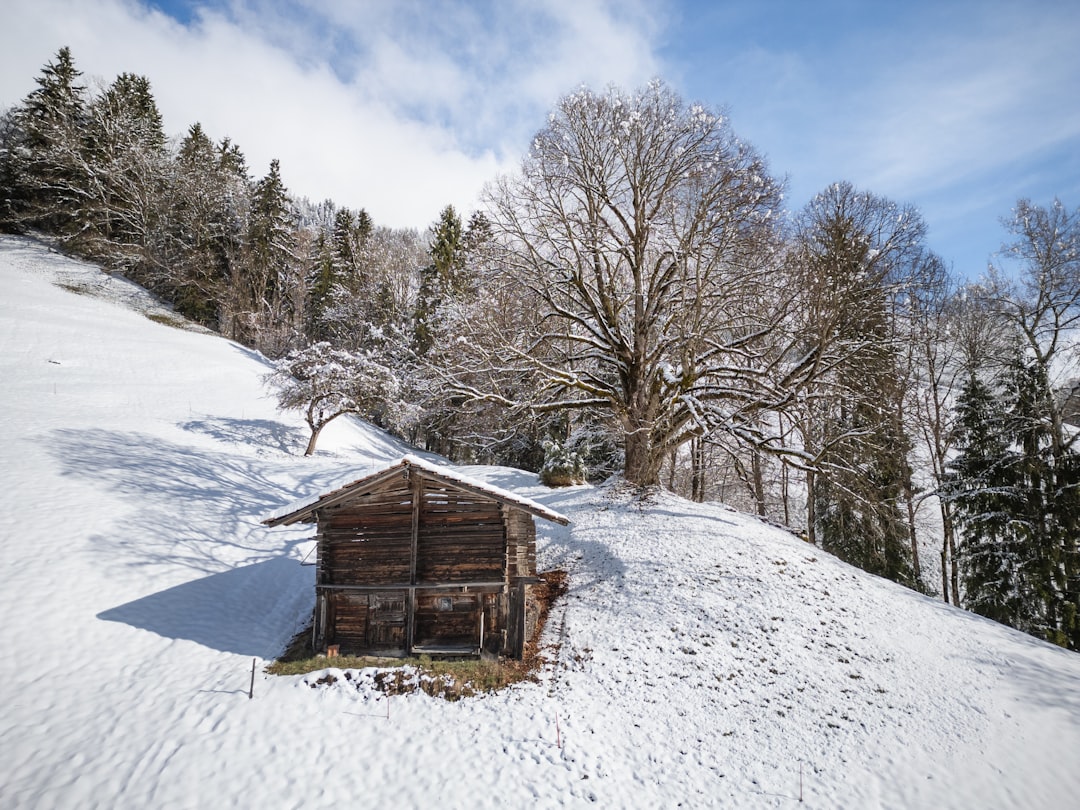 Zo bouw je een grote schuur in je tuin zonder vergunning