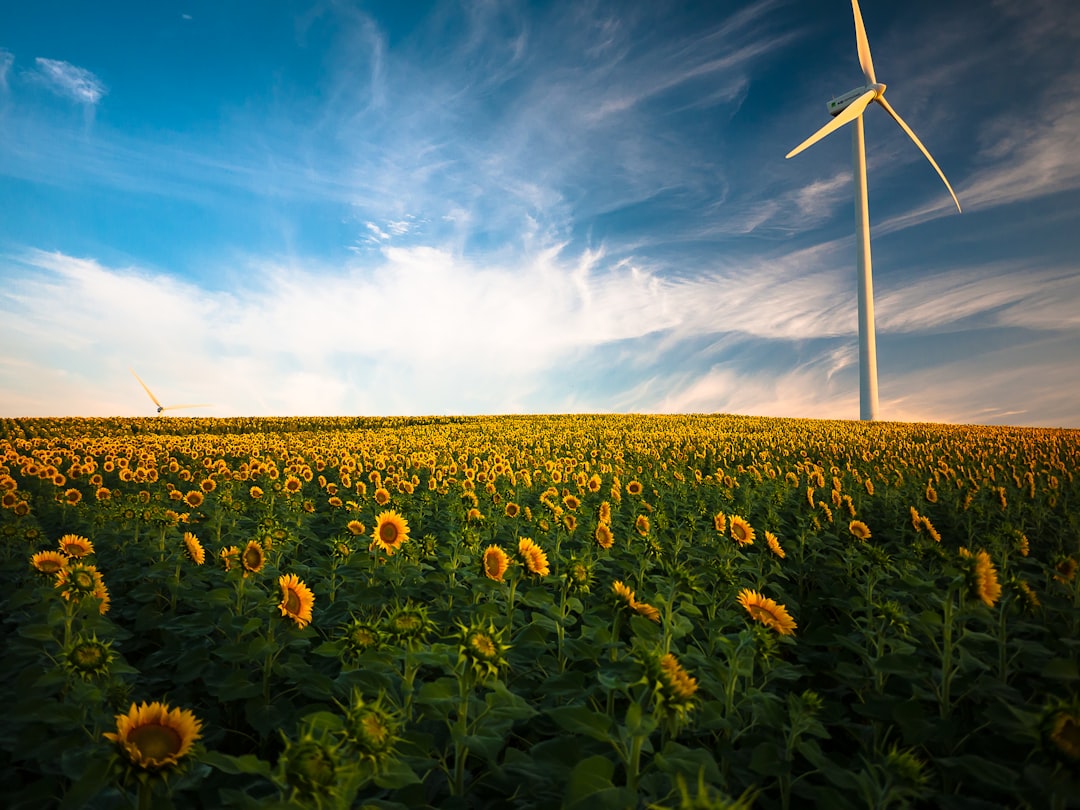 Zonnepanelen en duurzaam leven: wat je echt moet weten